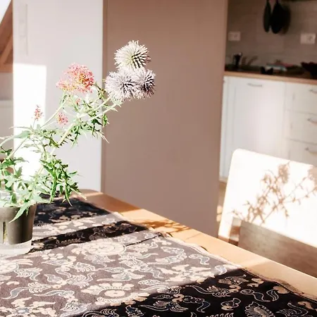 4 Guests Apartment,15 Min From Prague Airport,near Golf Beroun (Central Bohemian)